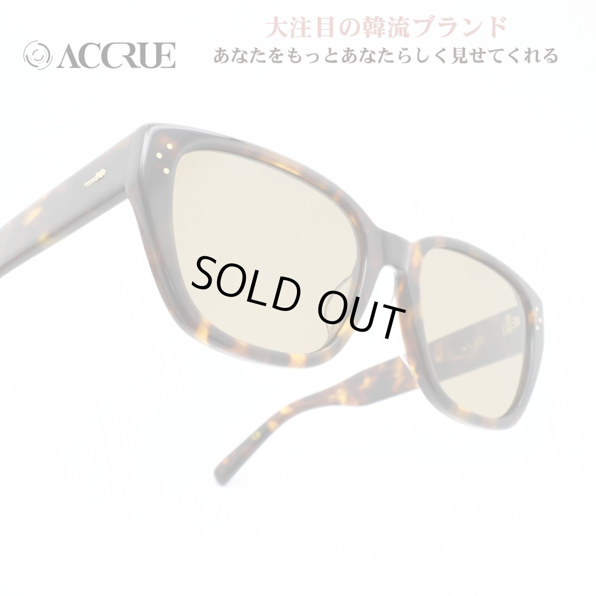 画像1: ACCRUE アクルー MARTHA TORTOISE/BROWN (1)