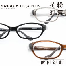 画像1: SQUACY-FLEX PLUS スカッシーフレックスプラス 花粉防止 花粉対策メガネ (1)