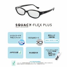 画像3: SQUACY-FLEX PLUS スカッシーフレックスプラス 花粉防止 花粉対策メガネ (3)