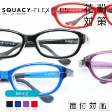 画像6: SQUACY-FLEX PLUS スカッシーフレックスプラス 花粉防止 花粉対策メガネ (6)