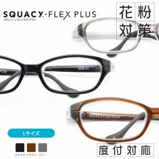 画像8: SQUACY-FLEX PLUS スカッシーフレックスプラス 花粉防止 花粉対策メガネ (8)