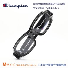画像1: Champion チャンピオン EYE-GLOVE  アイグローブ CH93 Mサイズ CRYSTAL GRAY 適応身長：150cmから180cm （目安です）  (1)