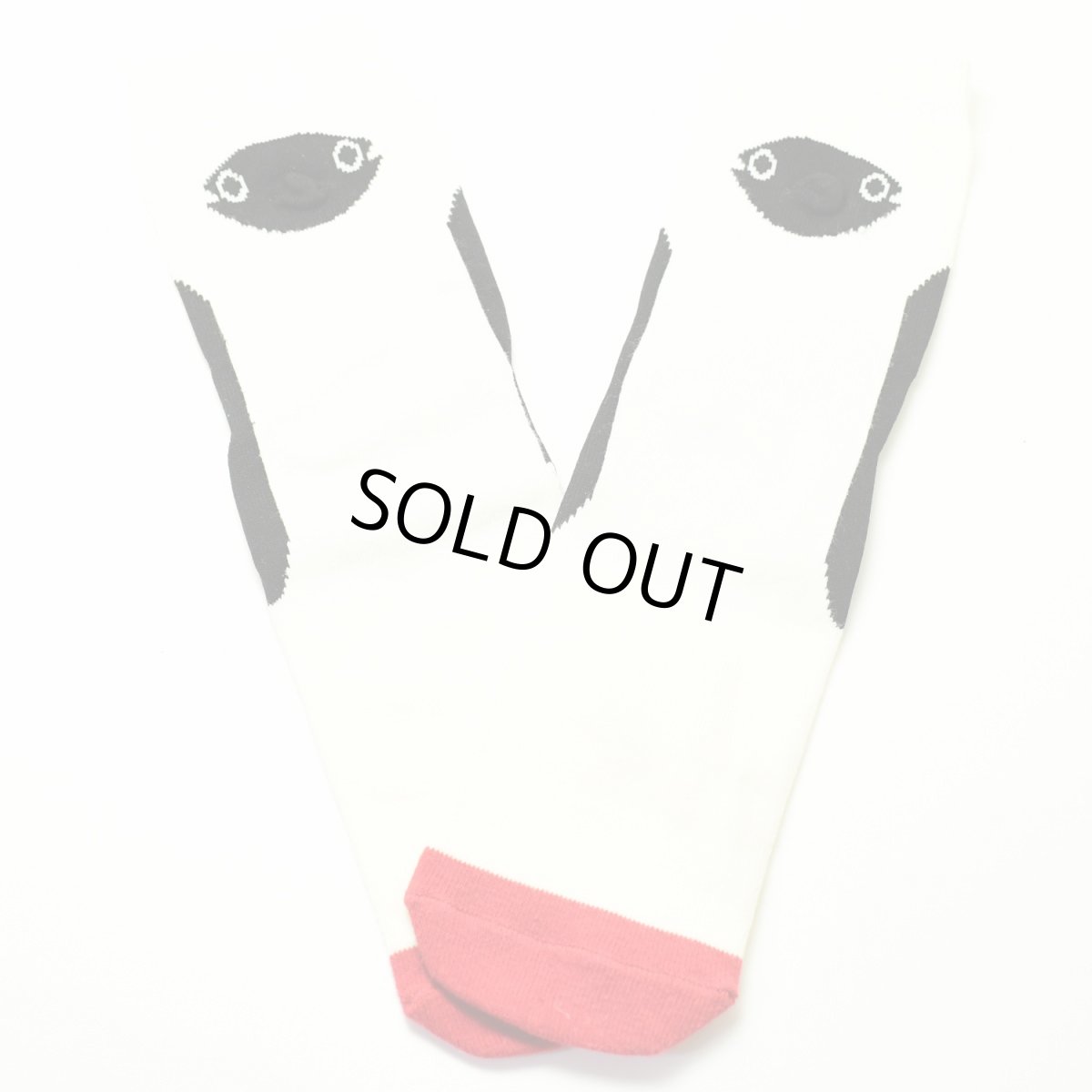 画像2: CHUMS チャムス Booby Socks ブービーソックス ブービー ソックス 靴下 かわいい レディース メンズ オシャレ (2)