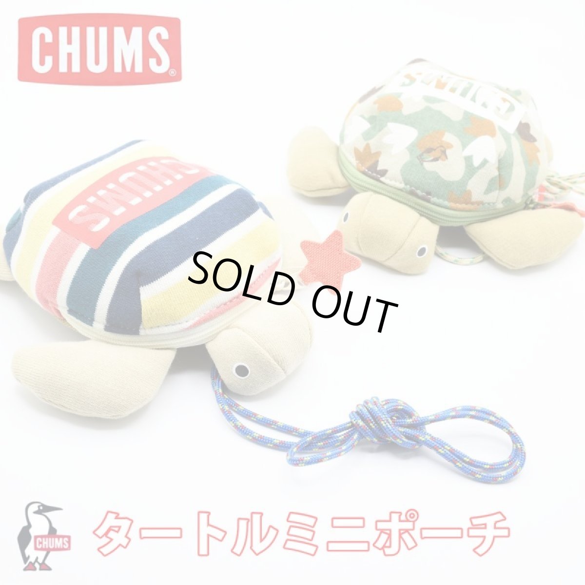 画像1: CHUMS チャムス Turtle Mini Pouch タートル ミニ ポーチ  (1)