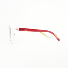 画像5: CHUMS チャムス かせきさいだぁ Booby Boston Sunglasses SP Set ブービーボストンサングラスセット（サングラス/眼鏡ストラップ/リテイナー） (5)
