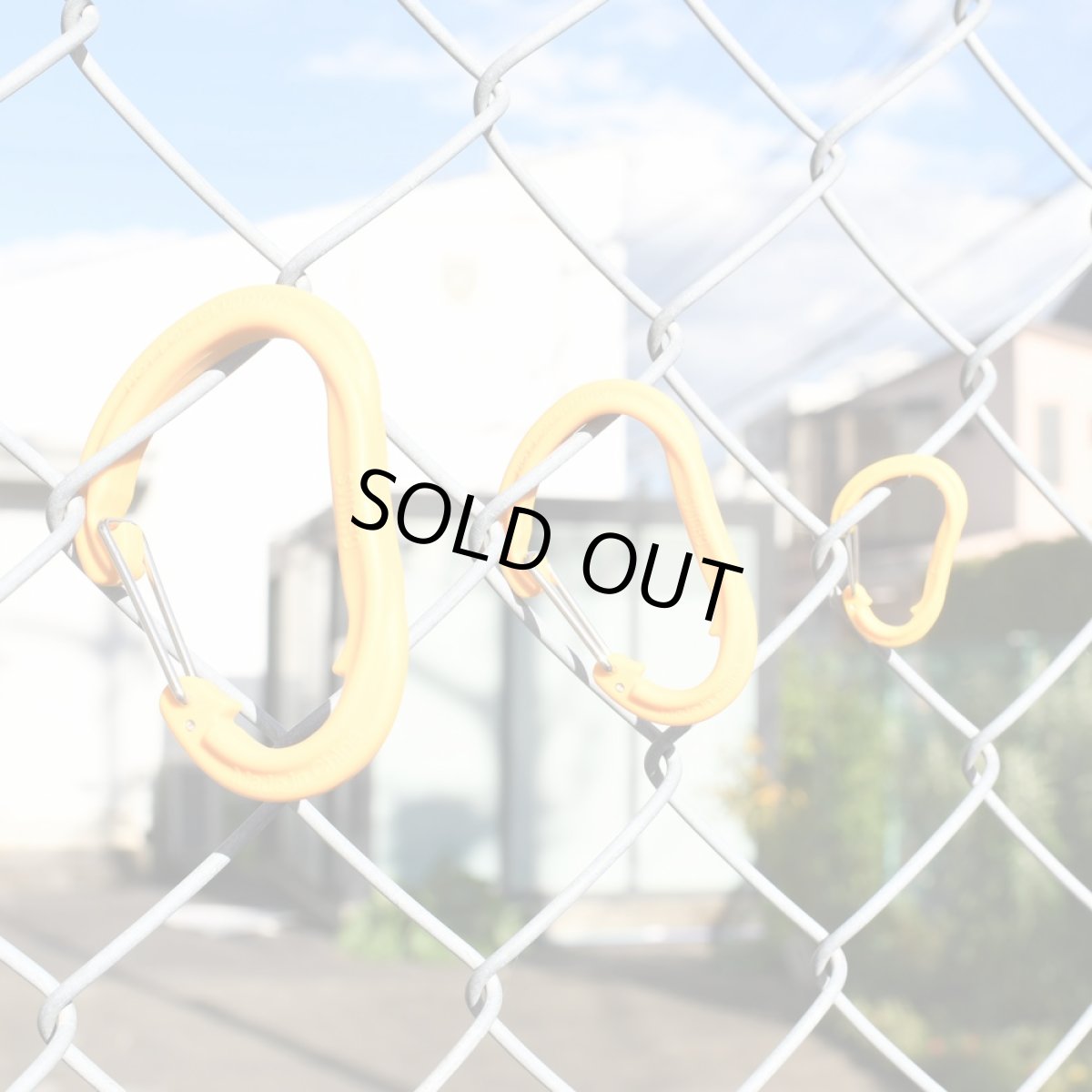 画像6: CHUMS チャムス Plastic Carabiner プラスチックカラビナ Sサイズ (6)