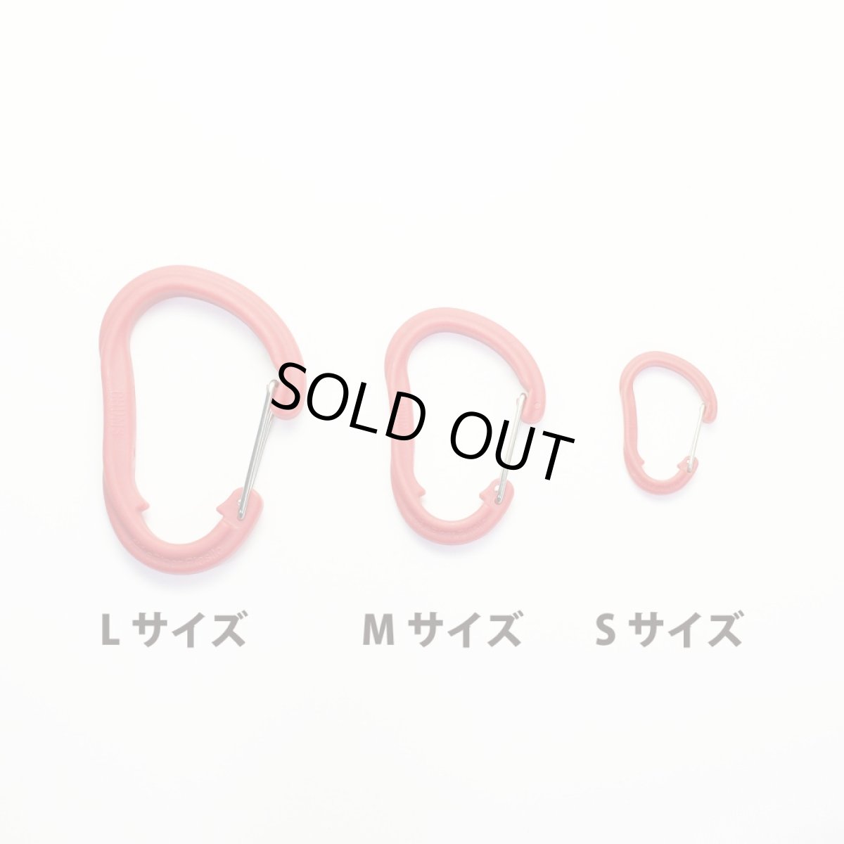 画像7: CHUMS チャムス Plastic Carabiner プラスチックカラビナ Sサイズ (7)