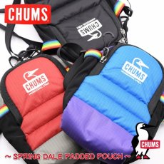 画像1: CHUMS チャムス Spring Dale Padded Shoulder Pouch (1)