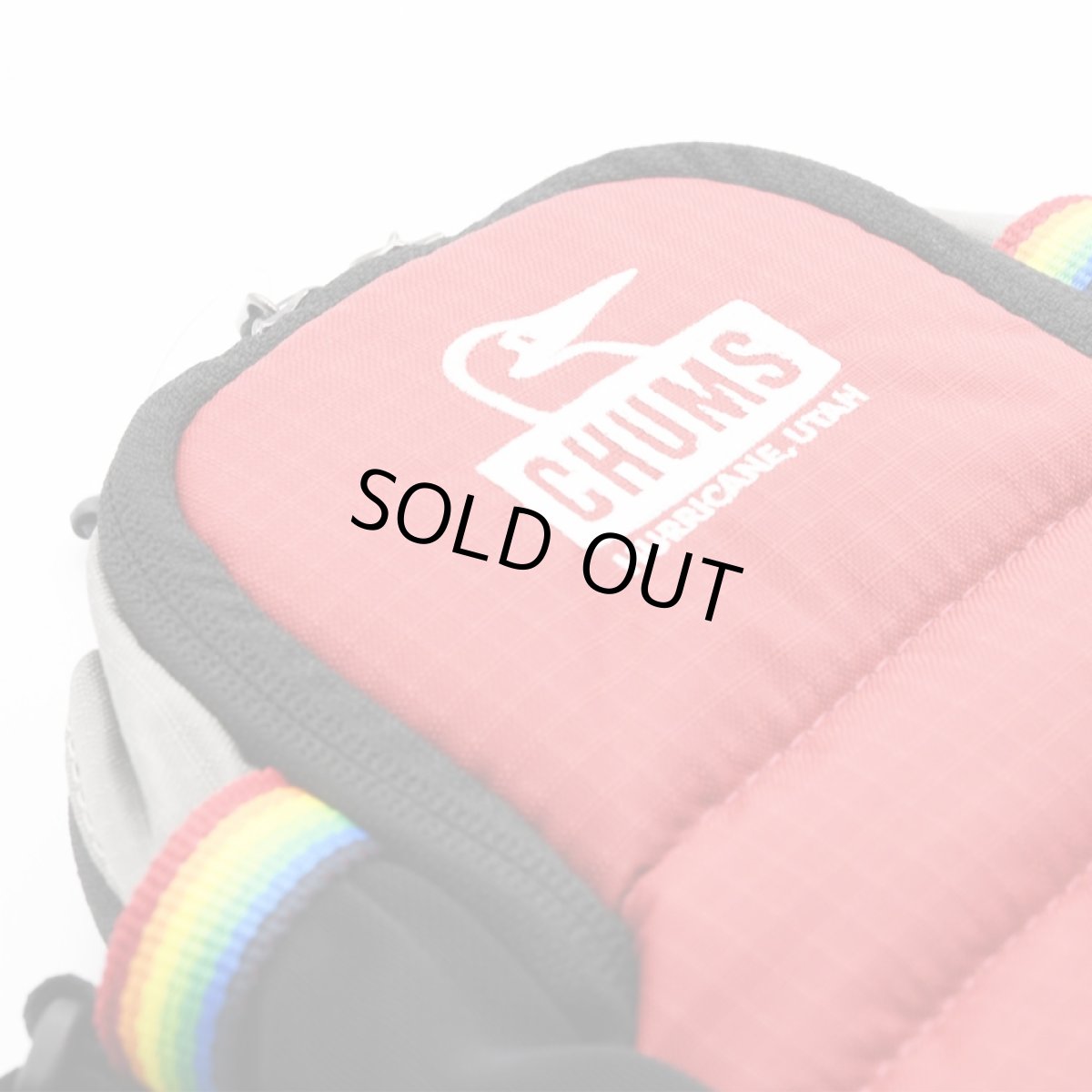 画像6: CHUMS チャムス Spring Dale Padded Shoulder Pouch (6)