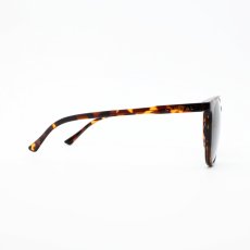 画像4: CRYSTAL クリスタル CLASSIC TORTOISE クラシックトートイズ TORTOISE/Pluto Grey R425  (4)
