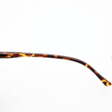 画像7: CRYSTAL クリスタル CLASSIC TORTOISE クラシックトートイズ TORTOISE/Pluto Grey R425  (7)