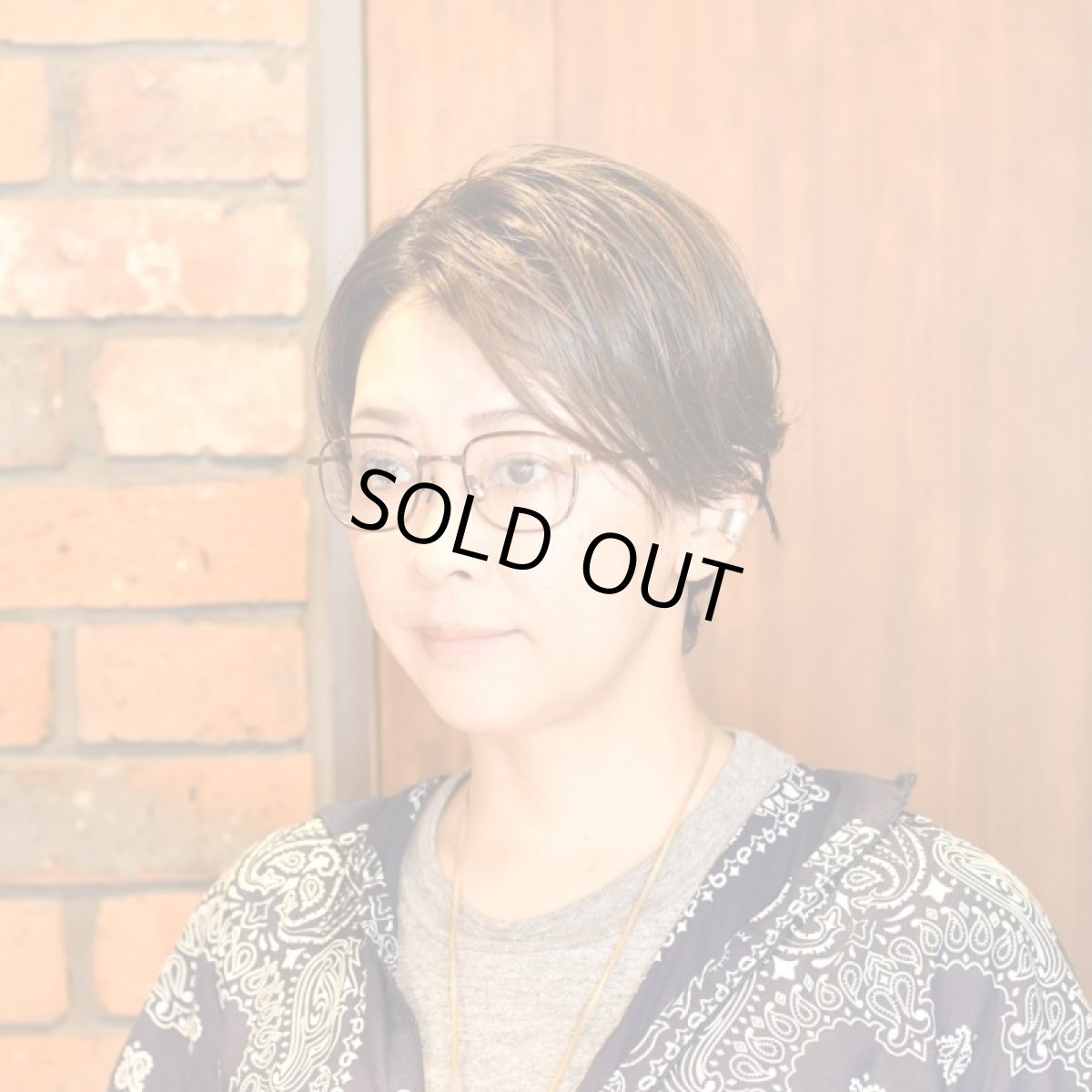 画像9: EYEVAN アイヴァン ALLAN col-BRZ (9)