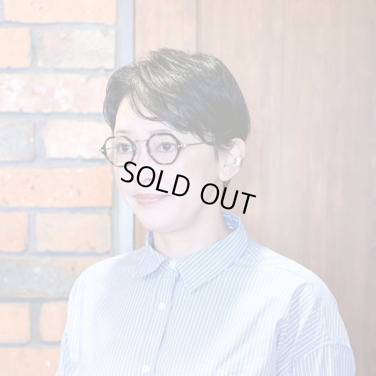 画像9: EYEVAN アイヴァン E-0518 col-TORT/AG 44サイズ (9)