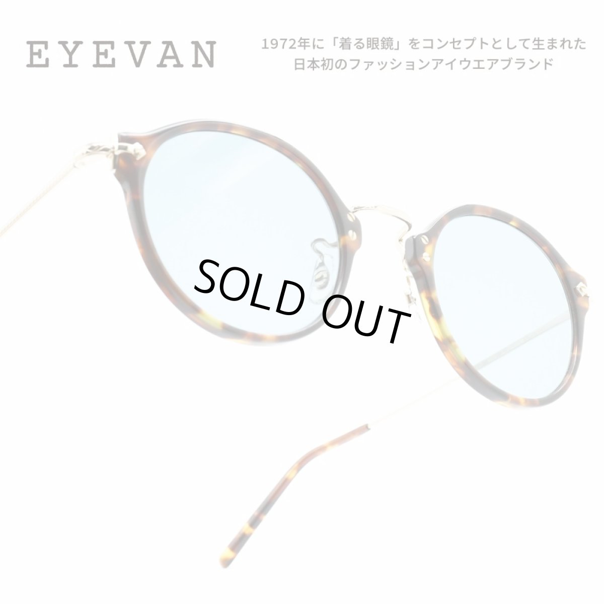 画像1: EYEVAN アイヴァン E-0507-SG col-DM/G lens-BLU 48サイズ (1)