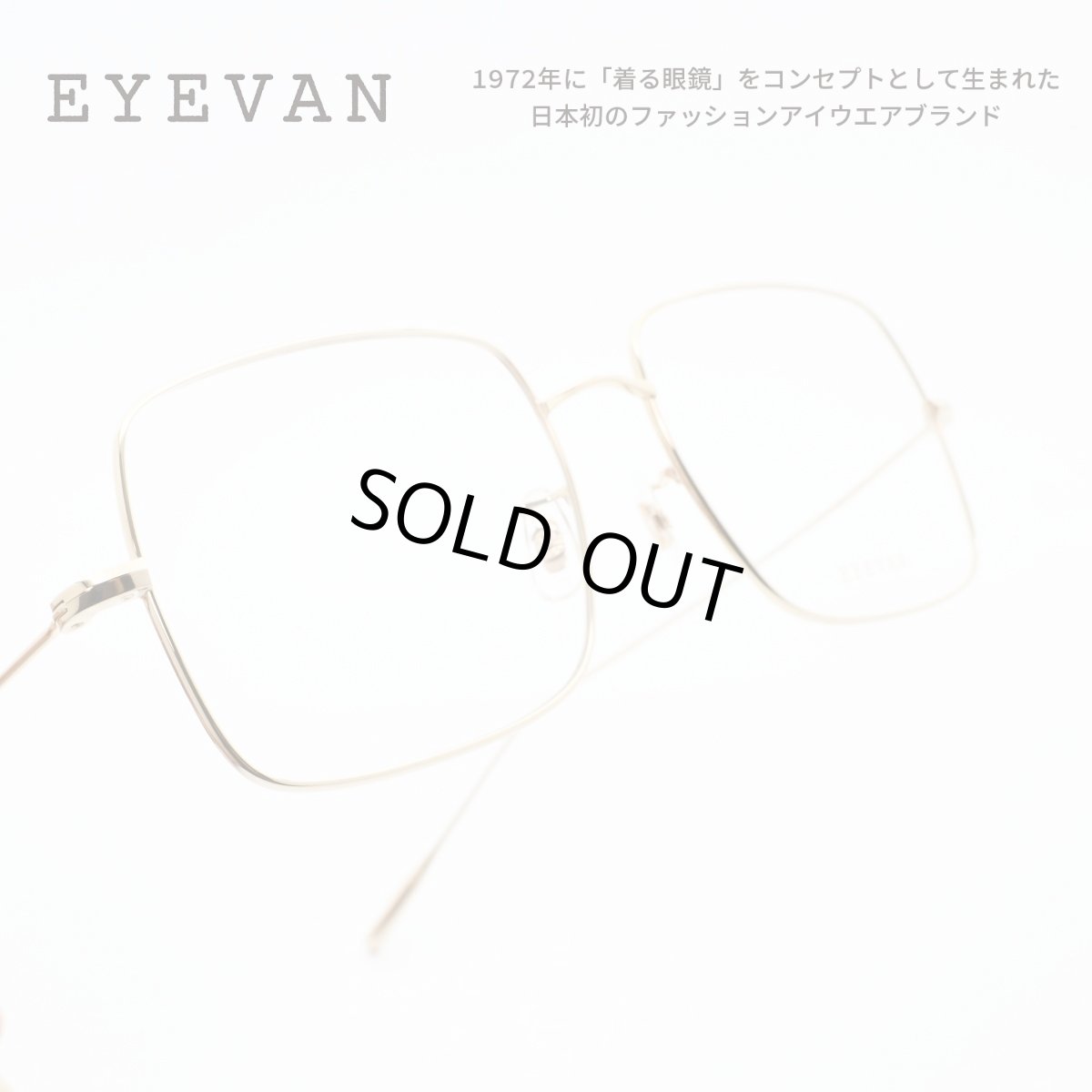 画像1: EYEVAN アイヴァン Forest col-G 54サイズ (1)