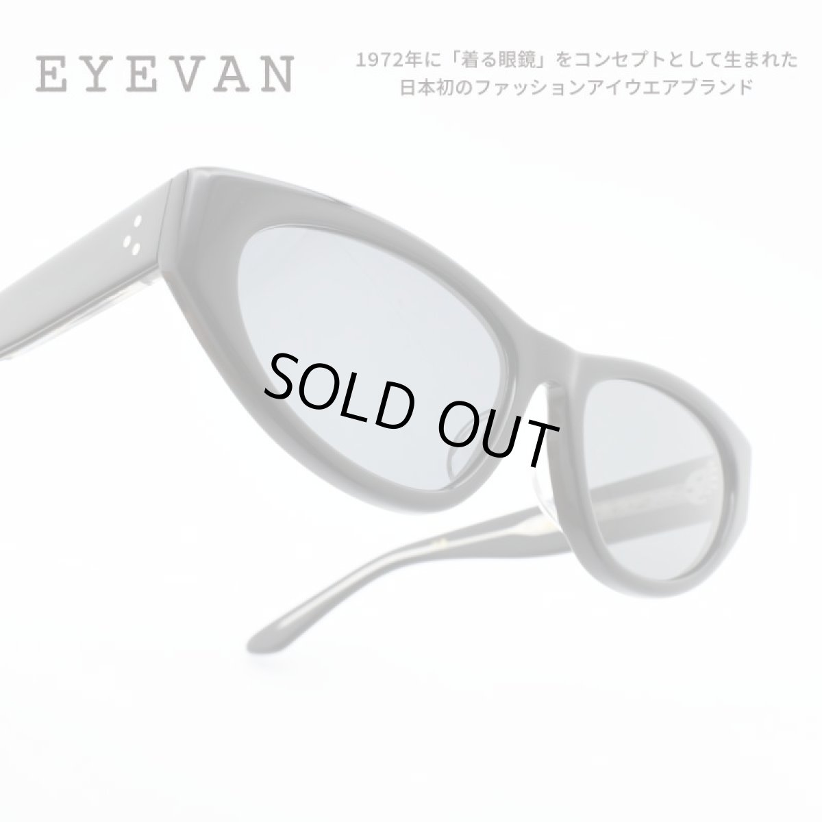 画像1: EYEVAN アイヴァン Regina col-PBK-BK 56サイズ (1)