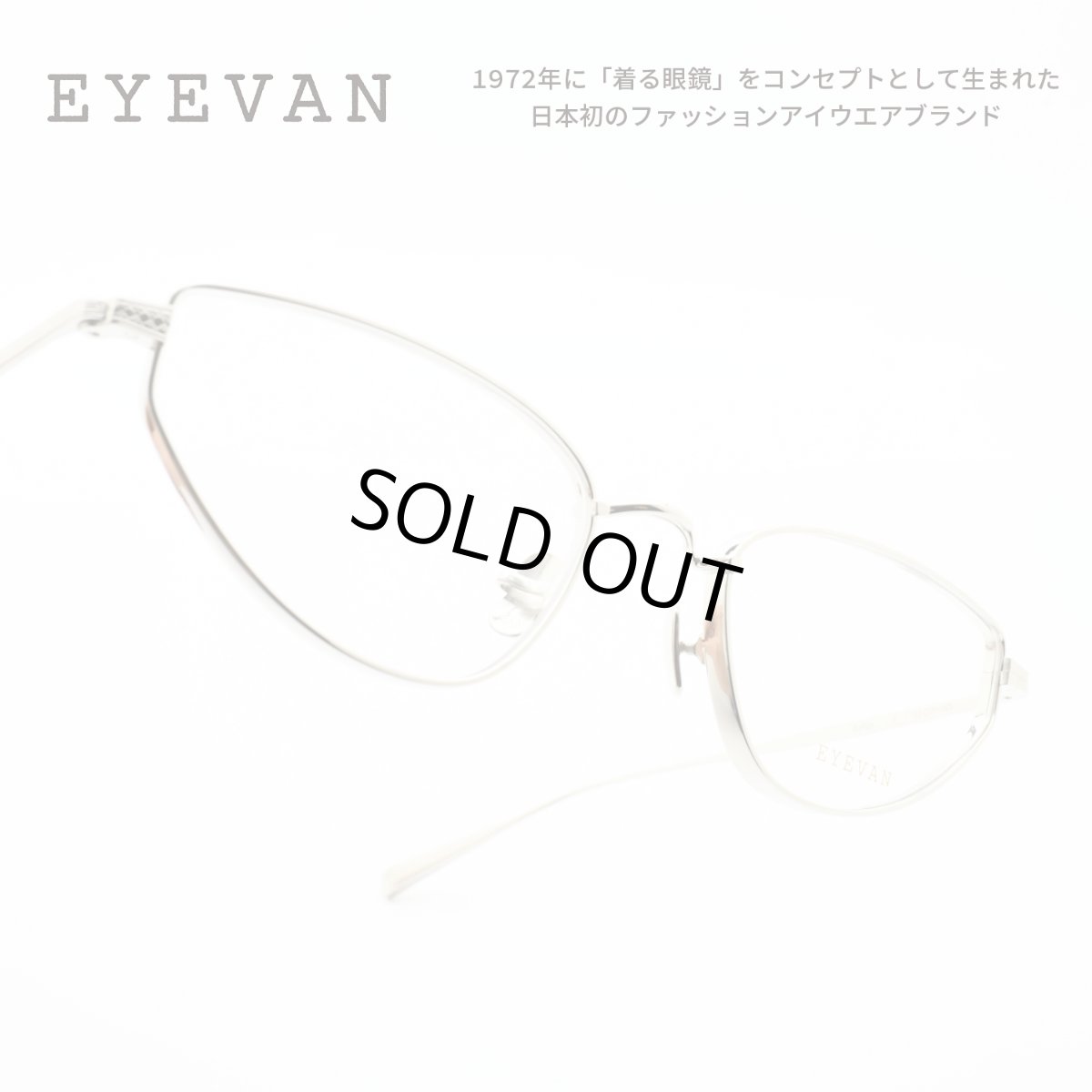 画像1: EYEVAN アイヴァン Rufus col-S 53サイズ (1)