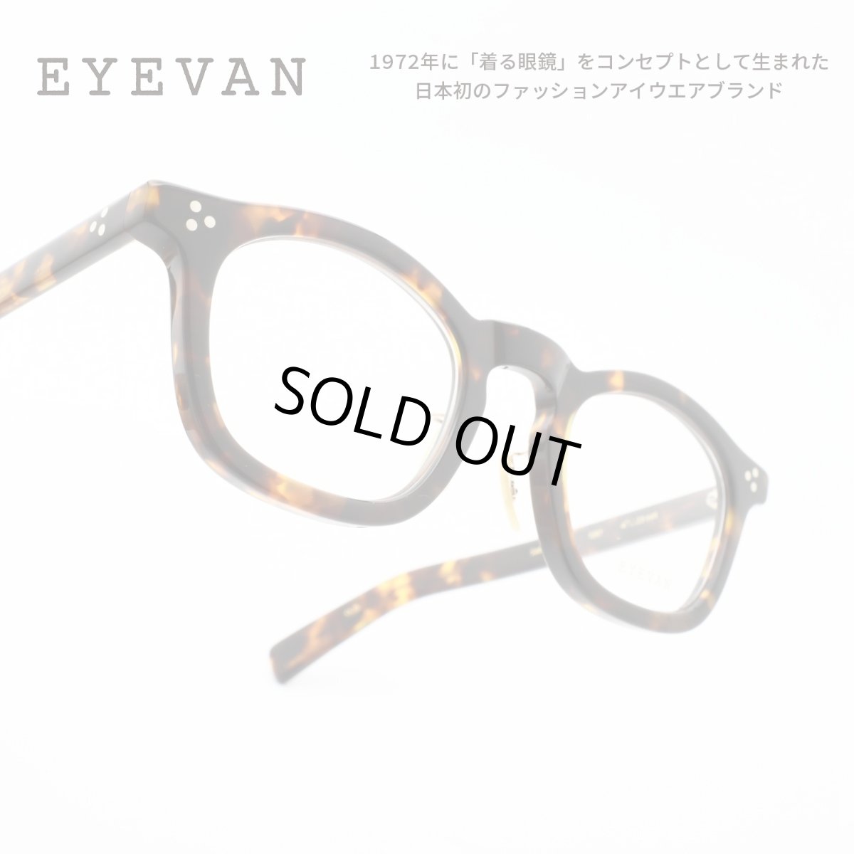 画像1: EYEVAN アイヴァン Sadler-CP col-TORT 47サイズ (1)