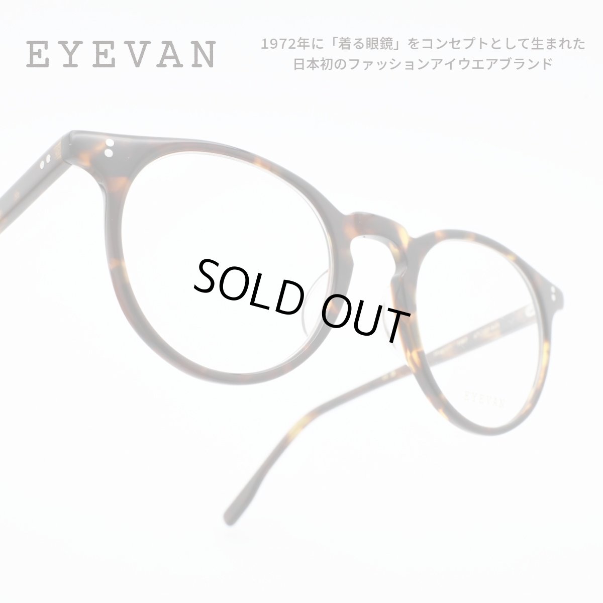 画像1: EYEVAN アイヴァン Stag col-TORT 47サイズ (1)