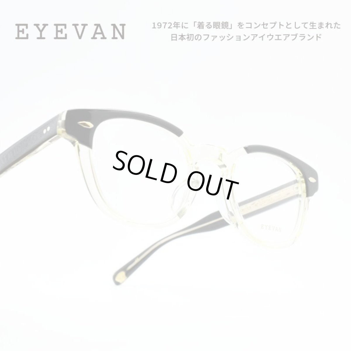 画像1: EYEVAN アイヴァン WEBB col-PBK/ECR 47サイズ (1)