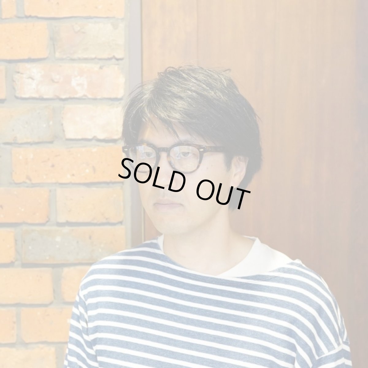 画像11: EYEVAN アイヴァン WEBB col-TORT 49サイズ (11)