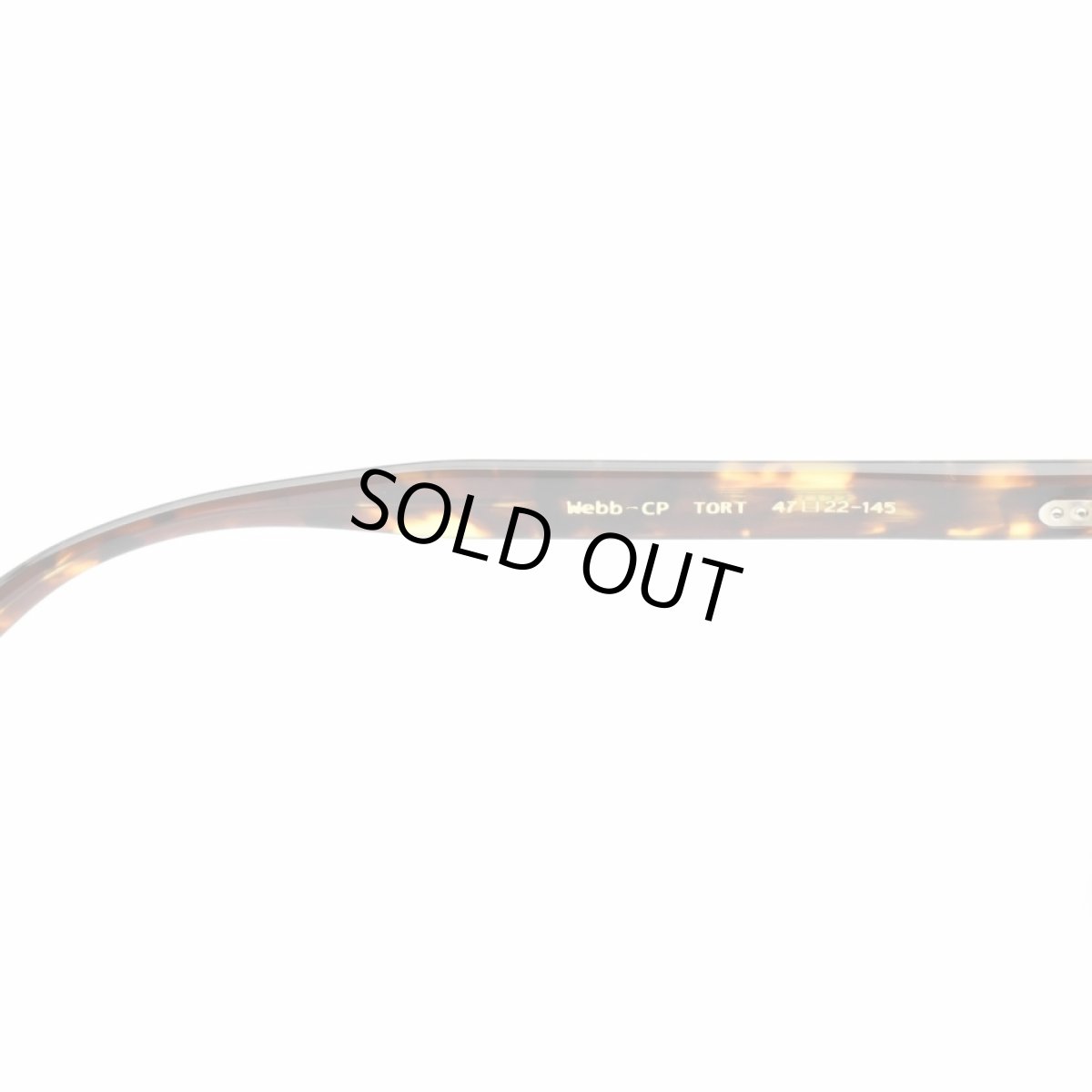 画像6: 蛯原 友里さん「LEE」生見 愛瑠さん EYEVAN アイヴァン WEBB-CP col-TORT 47サイズ (6)