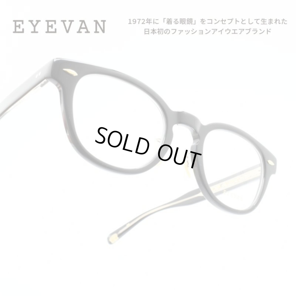 画像1: 蛯原 友里さん「LEE」 生見 愛瑠さん「CanCam」着用モデル EYEVAN アイヴァン WEBB CP col-PBK 47サイズ (1)