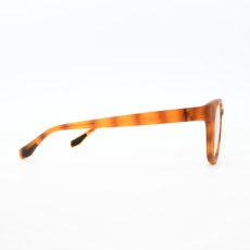 画像4: From フロム Fr-003 col-3 BRBNMT 偏光レンズ  (4)