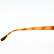 画像6: From フロム Fr-003 col-3 BRBNMT 偏光レンズ  (6)