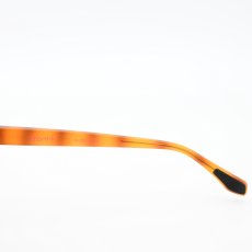 画像7: From フロム Fr-003 col-3 BRBNMT 偏光レンズ  (7)