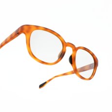 画像10: From フロム Fr-003 col-3 BRBNMT 偏光レンズ  (10)