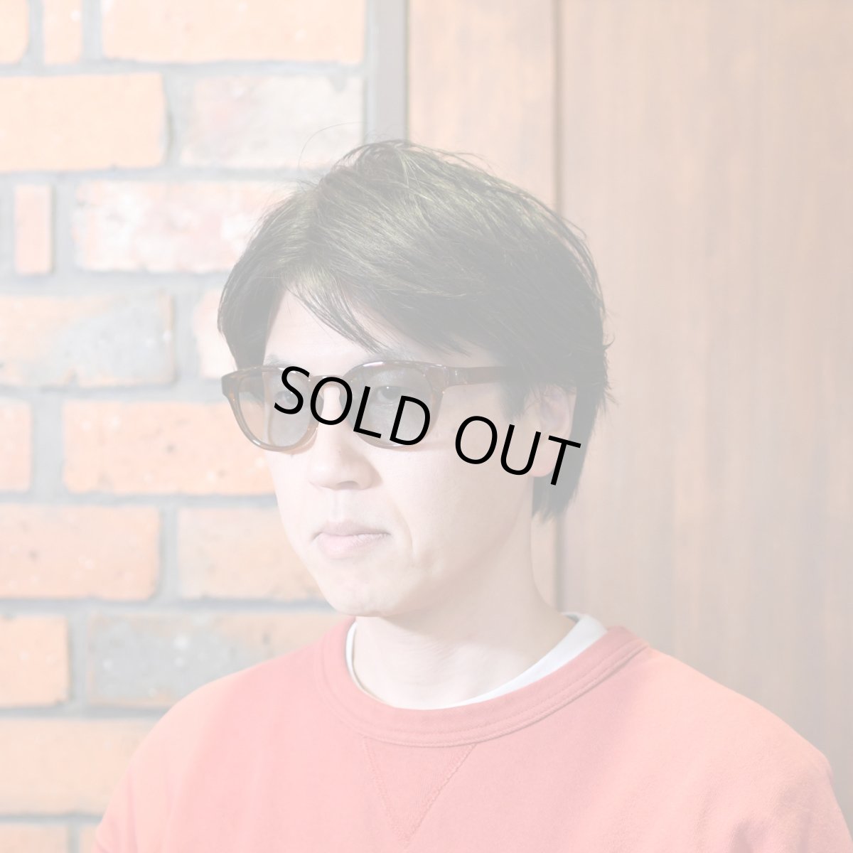 画像8: From フロム Fr-003 col-4 SHLBR 偏光レンズ  (8)