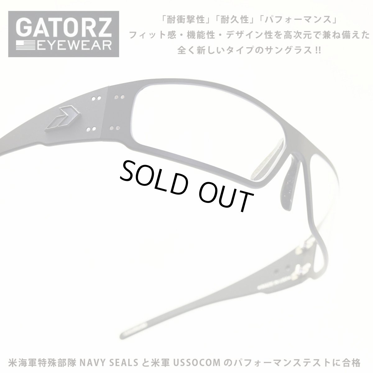 画像1: GATORZ ゲイターズ MILSPEC BALLISTIC MAGNUM マグナム （BLACK/CLEAR）アジアンフィット GZ-01-003 (1)