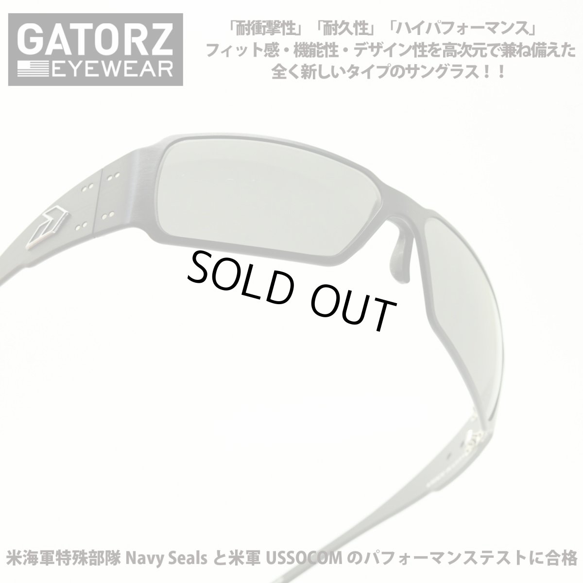 画像1: GATORZ ゲイターズ BOXSTER ボクスター （BLACK/SMOKE） (1)