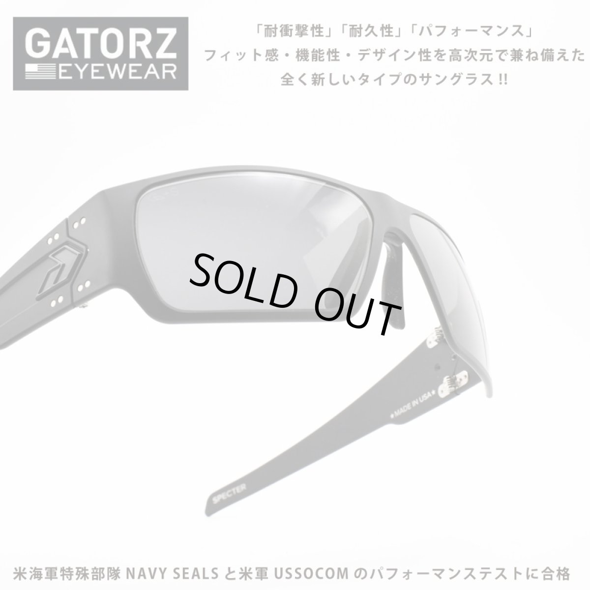 画像1: GATORZ ゲイターズ ANSIz87.1+ MILSPEC BALLISTIC SPECTER スペクター GZ-08-401（セラコート ブラック/スモーク）アジアンフィット (1)
