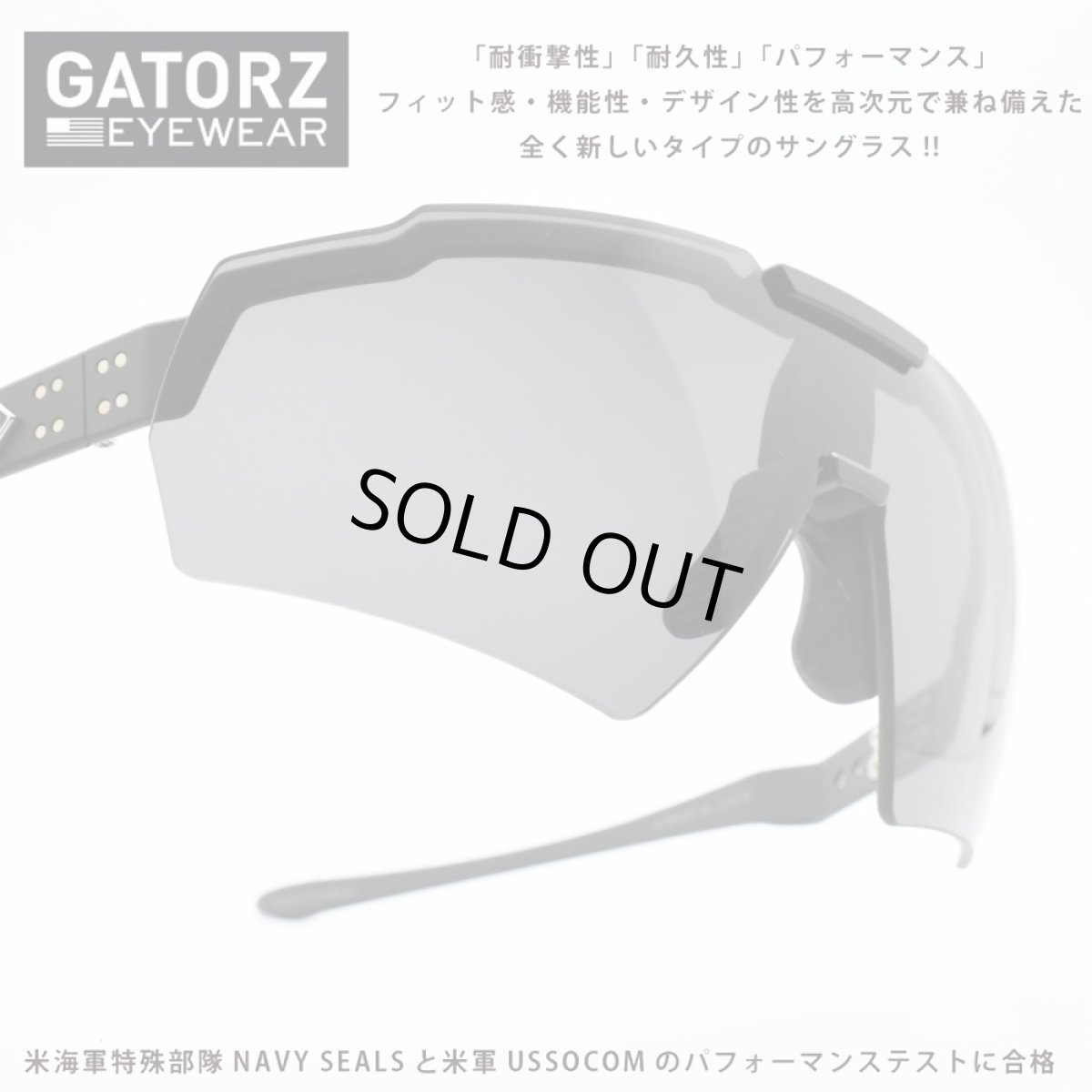 画像1: GATORZ ゲイターズ BLASTSHIELD ブラストシールド ブラック/シルバーロゴ　スモークＵVレンズ (1)