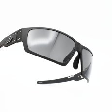 画像10: GATORZ ゲイターズ WARHAWK ウォーホーク GZ-15-031（ブラック シルバーロゴ/スモーク）  (10)