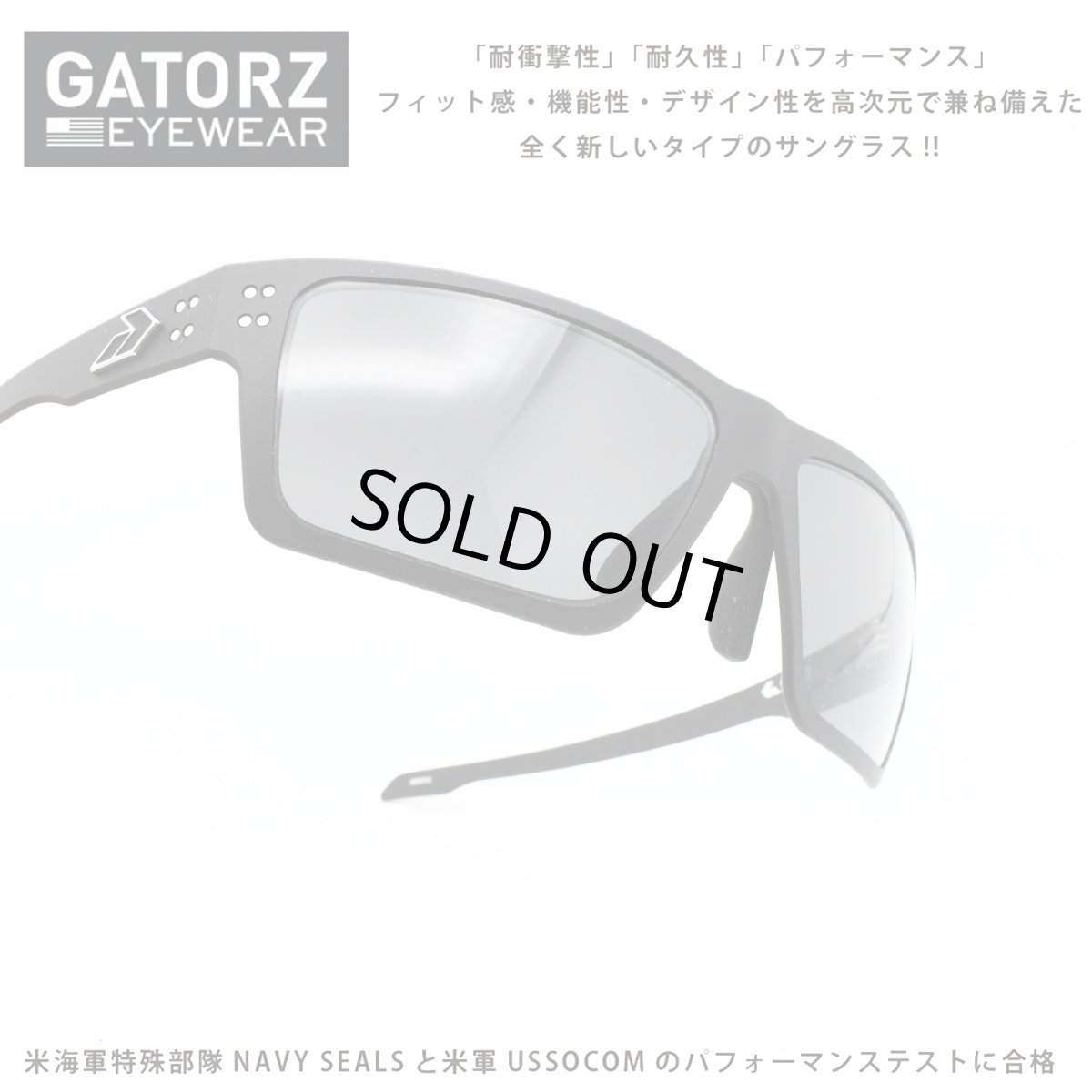 画像1: GATORZ ゲイターズ SENTIX センティックス GZ-18-430（ブラック シルバーロゴ/スモーク）  (1)