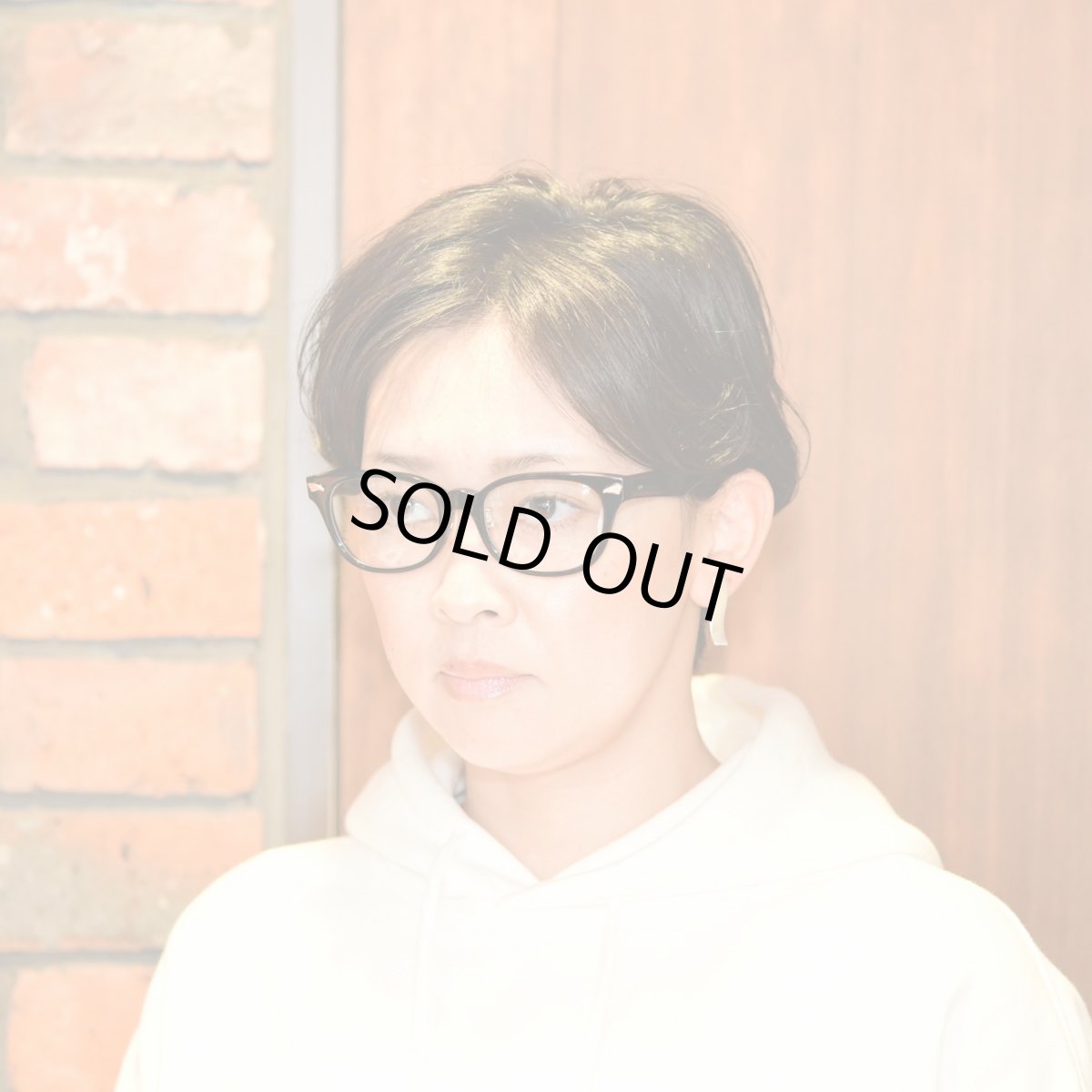 画像5: 【メガネナカジマ別注】GROOVER MOSQUITO COL-6 グルーバー:モスキート (5)