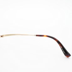 画像6: 丹羽雅彦 にわまさひこ NM-119 col-2 GOLD/BK転写  (6)