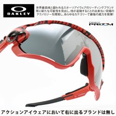 画像1: OAKLEY オークリー JABREAKER ジョーブレーカー OO9290-6731 RED TIGER/PRIZM BLACK (1)