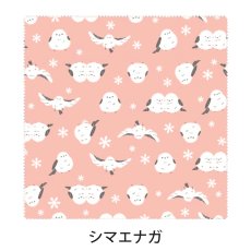 シマエナガ__Sshimaenaga__