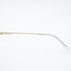 画像7: POLICE ポリス VPLT91J col-0300 チタンフレーム  (7)