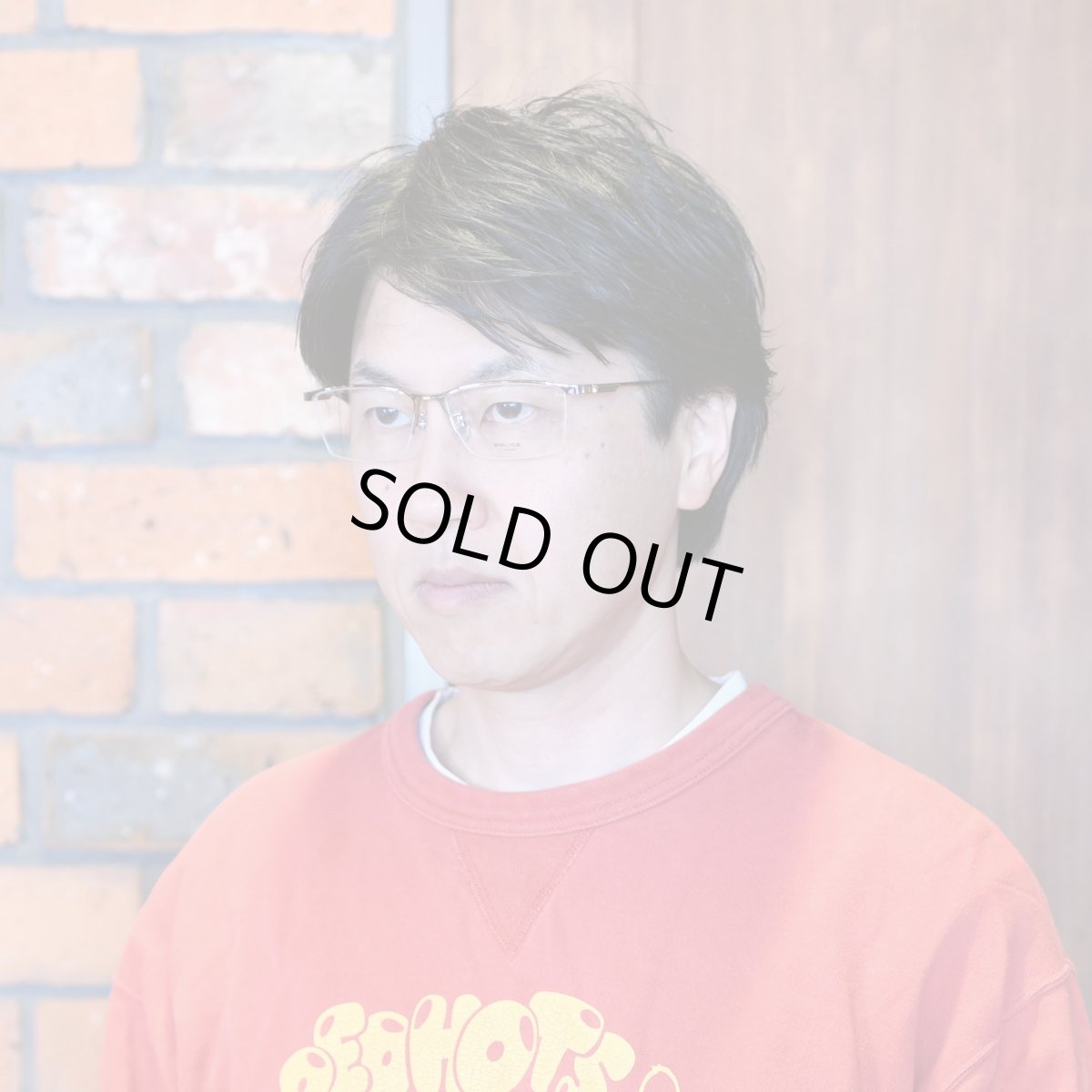 画像8: POLICE ポリス VPLT91J col-0579 チタンフレーム  (8)