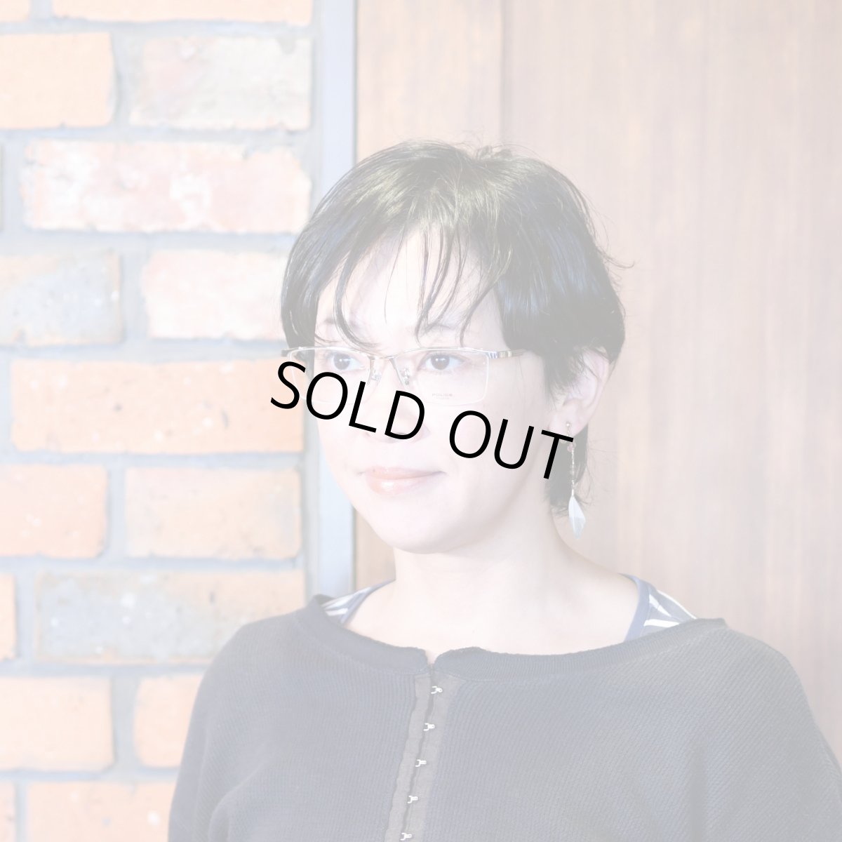 画像9: POLICE ポリス VPLT91J col-0579 チタンフレーム  (9)