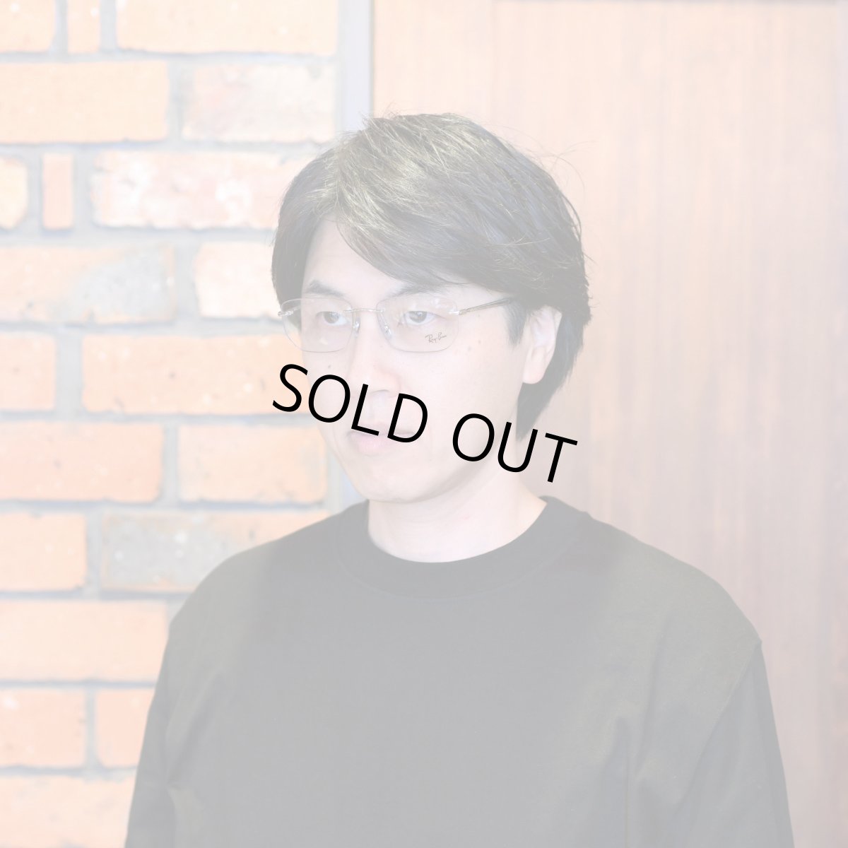 画像8: RAYBAN レイバン RB3768V-2501 OPTICS POLISH SILVER (8)