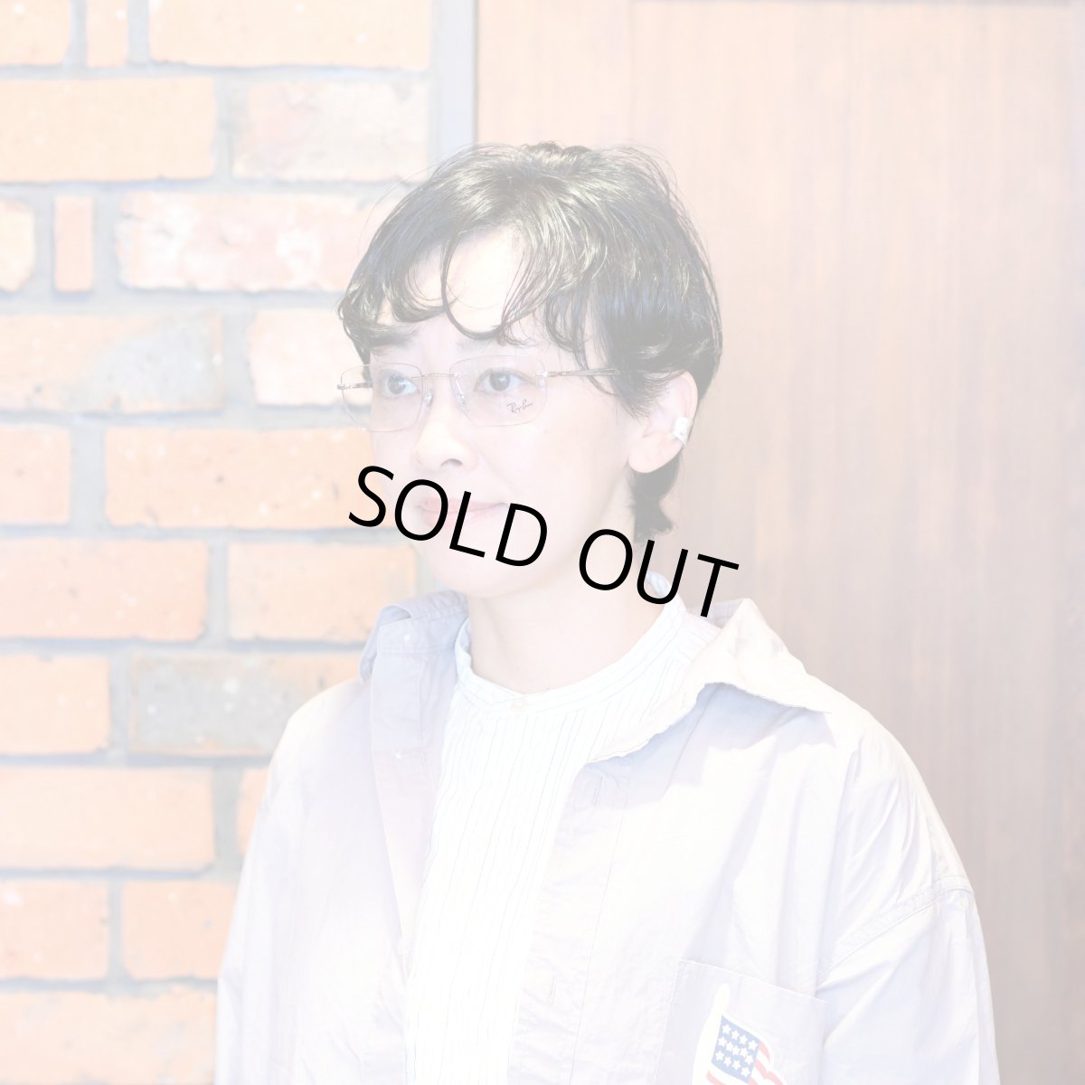 画像9: RAYBAN レイバン RB3768V-2501 OPTICS POLISH SILVER (9)