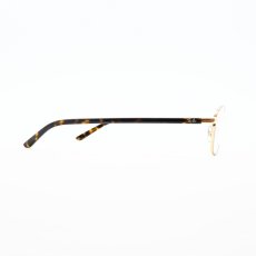 画像3: RAYBAN レイバン RB6551D 3193 HAVANA GOLD  (3)