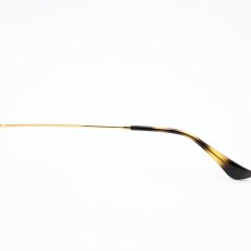 画像7: RAYBAN レイバン RB6647-3177 OPTICS POLISH GOLD/HABANA (7)