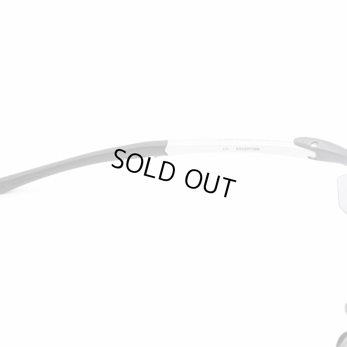 画像6: RUDY PROJECT ルディプロジェエクト EXCEPTION エクセプション BLACK MAT/SMOKE (6)